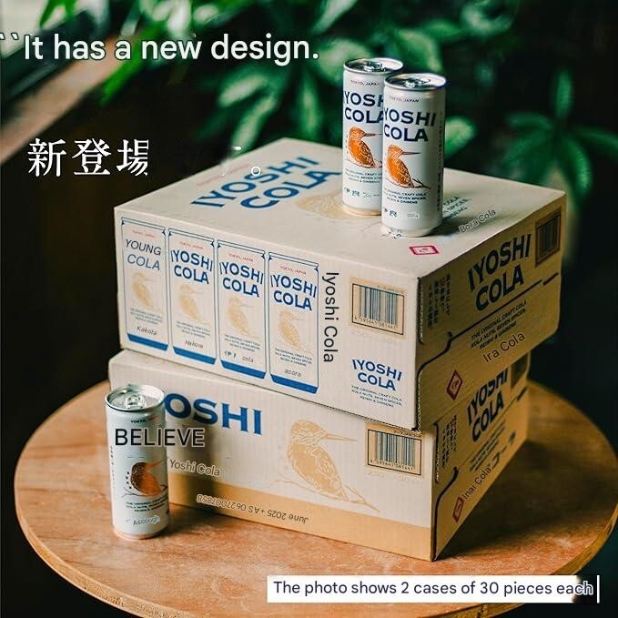 Iyoshicola Kraft Cola can 250ml 6 Cans Cola nut and 7 spices