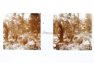 Monaco Garten Foto Platte P9P2n3 Vintage Stereo