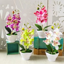 Collection de fleurs artificielles Phalaenopsis vibrantes et durables bonsaï