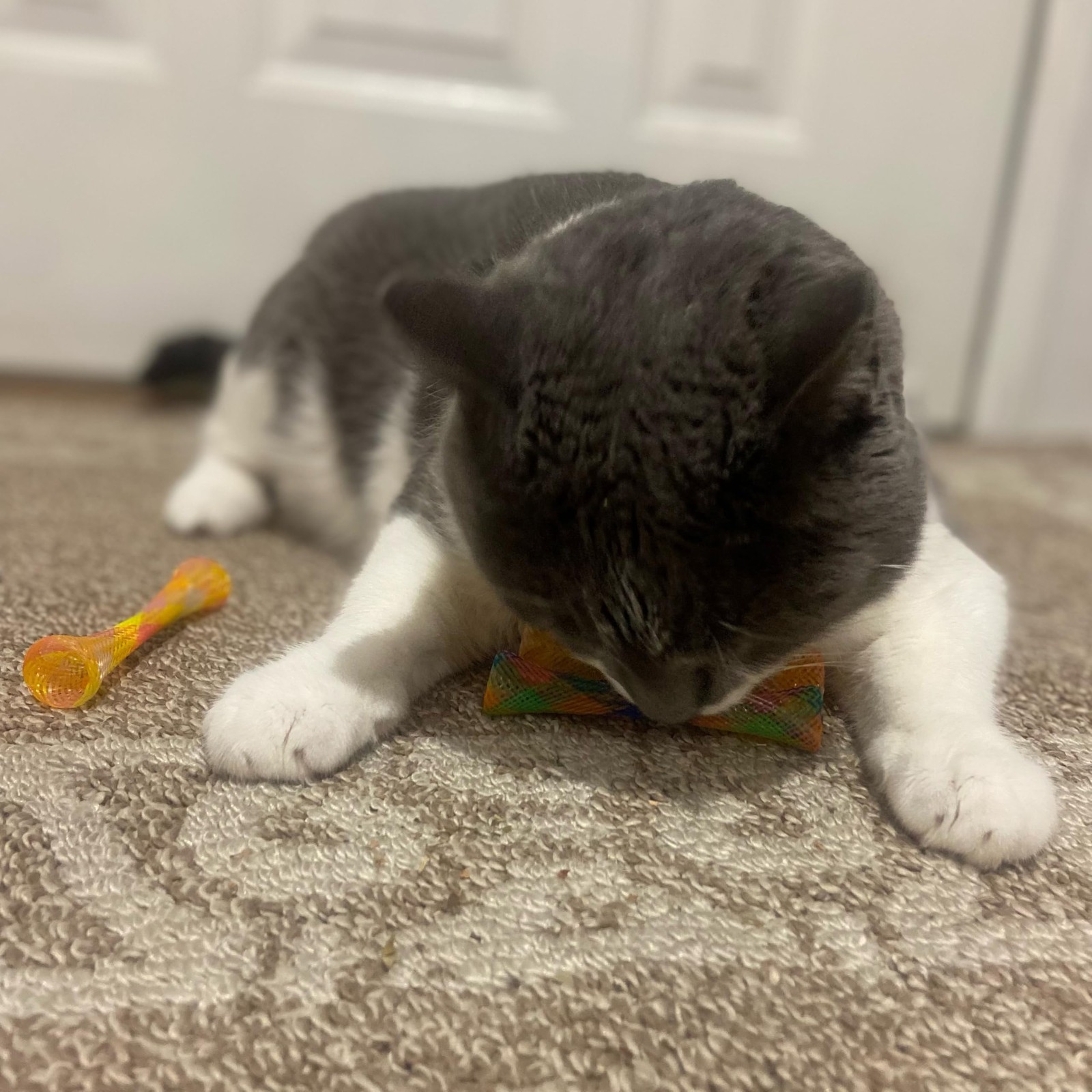 ETHICAL/SPOT Cat Kitty Fun Tubes 3 Pack