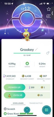 Pokemon Go Shiny Grookey (Hintergrund)( Stufe 1)