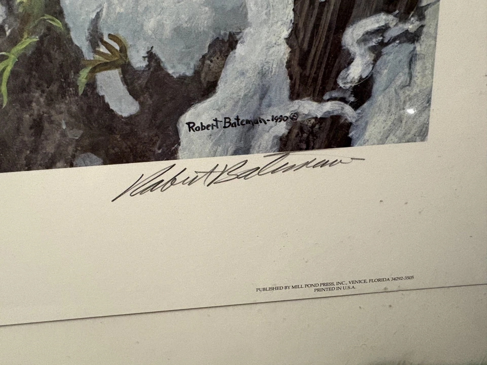 Robert Bateman - At the Cliff - Bobcat - Litografía S/N - Firmada - COMO NUEVO Foto 4 de 4