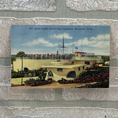 Marineland, FL Florida Marine Studios Oceanarium Crowd Watching Vintage Postcard