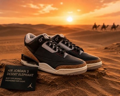 Air Jordan 3 retro  Desert Elephant  US M8