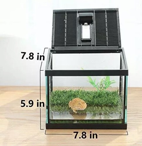 Crapelles Pac Ranas Vidrio Terrario Kit de Alimentación Tanque, Impermeable, para Anfi Pequeño - Imagen 5 de 8