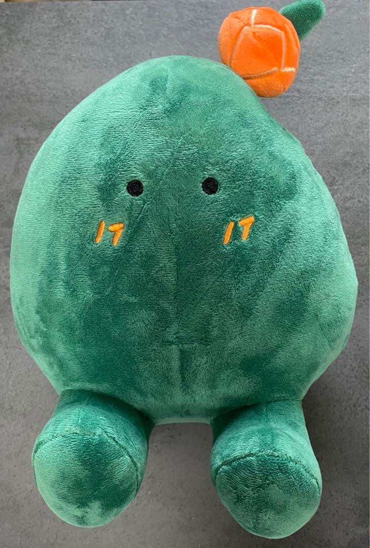 SEVENTEEN IN THE SOOP SOOPY Official Limited Version Plush Toy