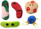 Giant Microbes Plush Toy Soft Original Gift Box Educational Ancient Plagues Set