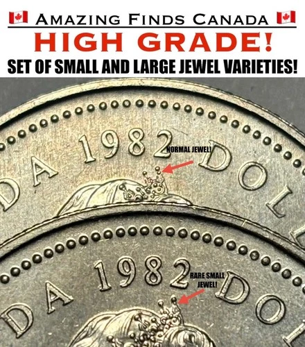 SET OF NORMAL & SMALL JEWEL VARIETIES! 1982 Canada $1 Dollar Coins! HIGH GRADE!