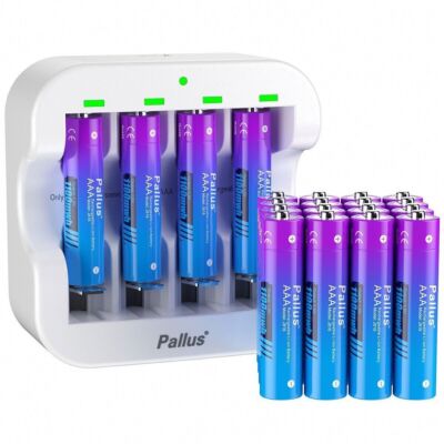 Pallus Lithium Ionen AAA Akku 1,5V AA Wiederaufladbar Batterien 1100mWh LOT