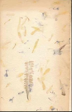 John Webster, Devil Words. Greno Publishing Company (Nördlingen) Annual Edition 19