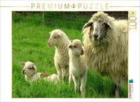 Calvendo Puzzle Ewe With Lambs | 1000 Pieces, Finished Size 25.2 × 18.9 In (64 ×
