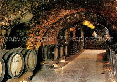 Beaune Cote d Or Burgund Caves exposition de la Reine Pedauque La cave Weinkelle