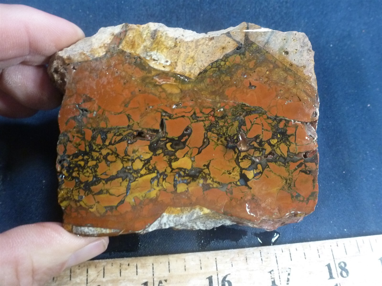 CSS 1.1 lb Piece Of Whiskey Creek Jasper Rough Rock eBay