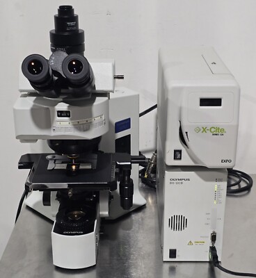 オリンパス μ ii μ（ミュー）-II LIMITED：シリーズ：カメラ製品：オリンパス