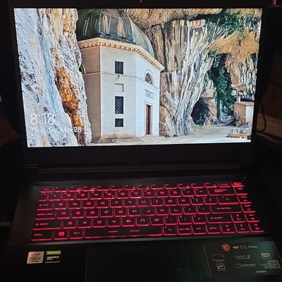 MSI GF65 Thin Gaming Laptop Intel Core i7 10th Gen 8GB RAM 15.6'' SSD GTX