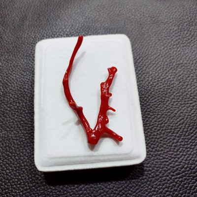 Red Coral Branch Mediterranean Genuine Coral Rough Natural Coral Branch Gemstone