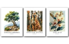 Gambia National Symbols, Set of 3 Poster Prints, Wall Art Home Décor, Unframed