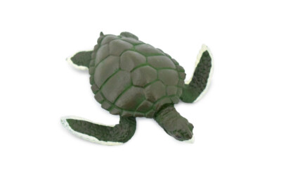 Green Sea Turtle, Realistic Toy Figure, Model, Replica, Gift, 4