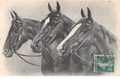 Illustrator N K G Co Paris Series N 117 Three Cheavaux With Ebay