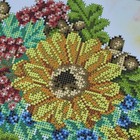 Bild 9 von 11