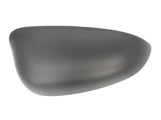 Right BLIC 6103-03-048350P Housing, exterior mirror for FORD