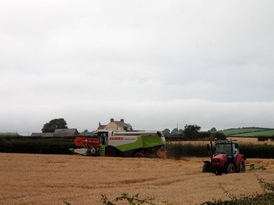 Photo A3 Making hay while the sun shines Carrowdore Hard at work getting c2016