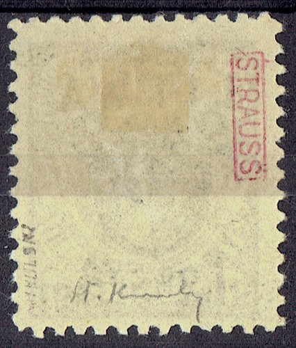 VERY RARE - ,, CENTRAL LITHUANIA '' ,,INVERTED '' ( 3 ) STAMPS 1920. - Picture 10 of 12