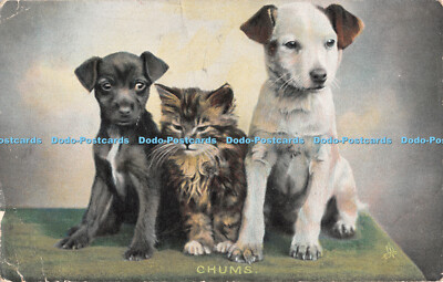 R481343 Chums Animal Life Tuck Photochrome Serie 4411 1906