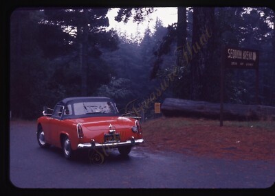 Austin Healey Sprite Car Sequoia Tree 1960s 35mm Slide