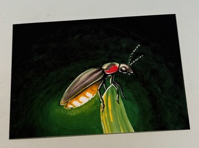 ACEO Art PRINT  Firefly  Mini Collectible Art 2.5 x 3.5 Inches