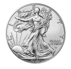 2023 American Eagle 1 oz .999 Fine Silver Collectible - Uncirculated