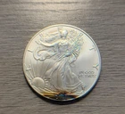 2001 American Silver Eagle Dollar 1 Oz 999 Silver Coin Toned