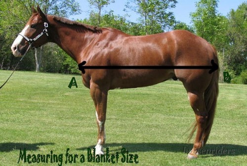 "Manta de participación de caballo de invierno-1680D-peso pesado extremo acurrucado - verde - 69""-84" - Imagen 3 de 3