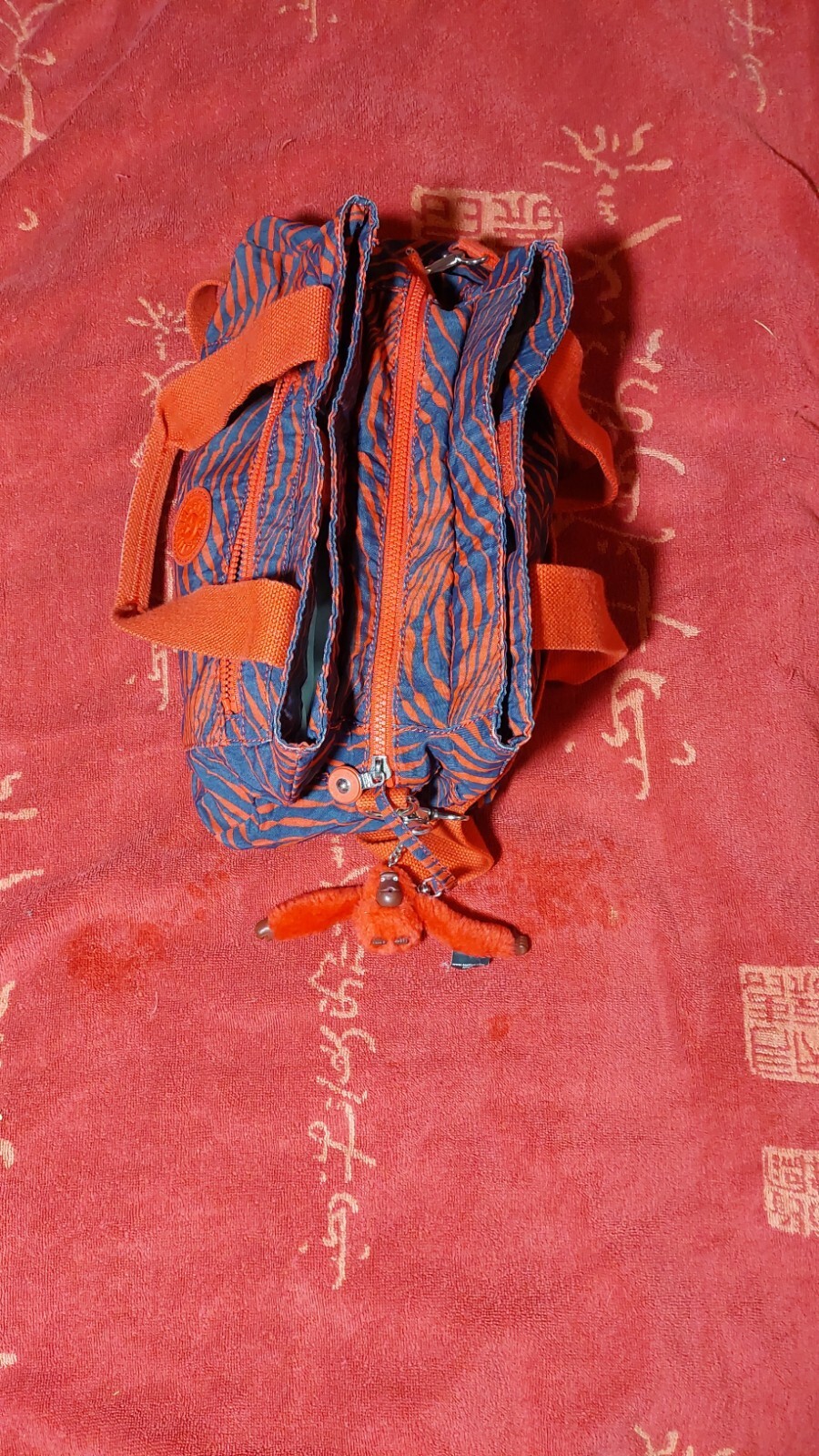 Foto 3 di 5