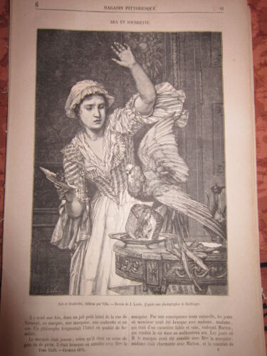 Article de presse Gravure 1875 - Ara et Soubrette d'après Villa - Bild 1 von 1