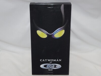 NEW Catwoman in Cool Girl 2.0 Action Figure 1/6 Scale 2006 Takara