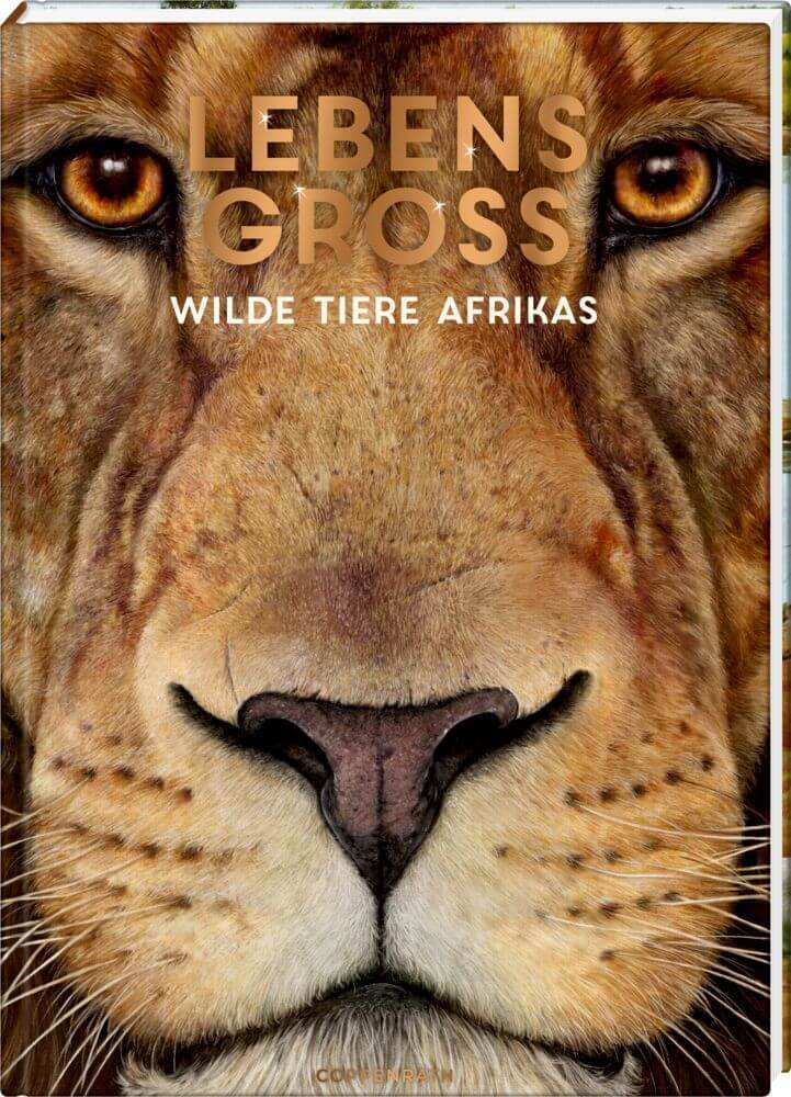Thumbnail - Lebensgroß - Wilde Tiere Afrikas