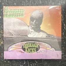 The Flamin' Groovies Teenage Kicks Rock CD English NOLEG01014