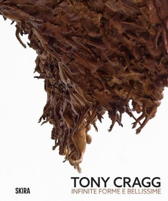 TONY CRAGG by SERGIO RISALITI Hardback Self Help Business