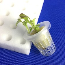  5pcs Hydroponic Vegetable Sponge Square Balcony Planting Soilless Cultivation 3.23 per sponge