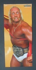 WWE Raw Magazine September 2003 The Dudley Boyz Hulk Hogan Poster