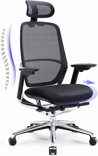 MAX-70 Sedia Ergonomica Da Ufficio Con Schienale Diviso E Braccioli Regolabili