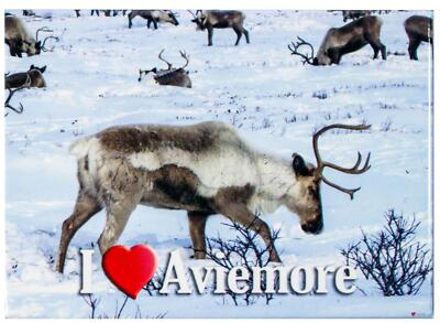 I Love Aviemore Snow Deer View Kühlschrankmagnet Metallic