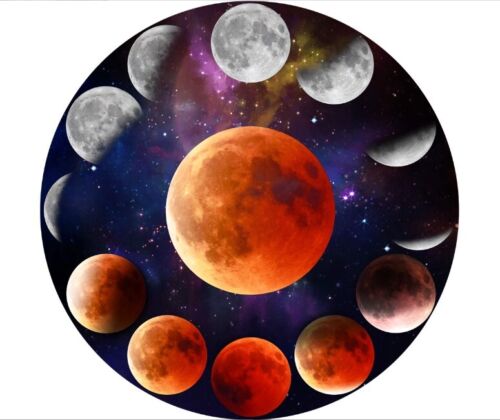 1000 pcs Jigsaw 68cm Dia. Round Earth Moon Animal Paper Puzzle Adult Game Toy - Picture 4 of 30