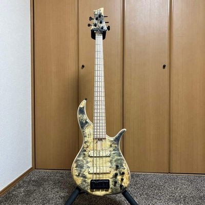 F-Bass Bn5 Nty Buckeye Burl No.LG1095