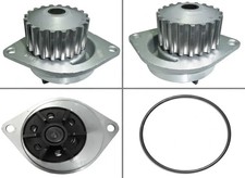 Pompe à eau Rover 111