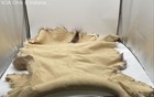 Natural Tanned Deer Fur Pelt Salt and Pepper Brown White Hide Sections — photo 9