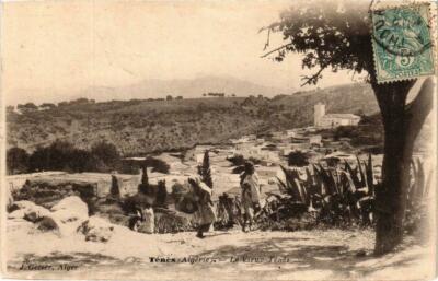 Old postcard AK ALGERIA Geiser 26 TENES Le Vieux TENES (756156)