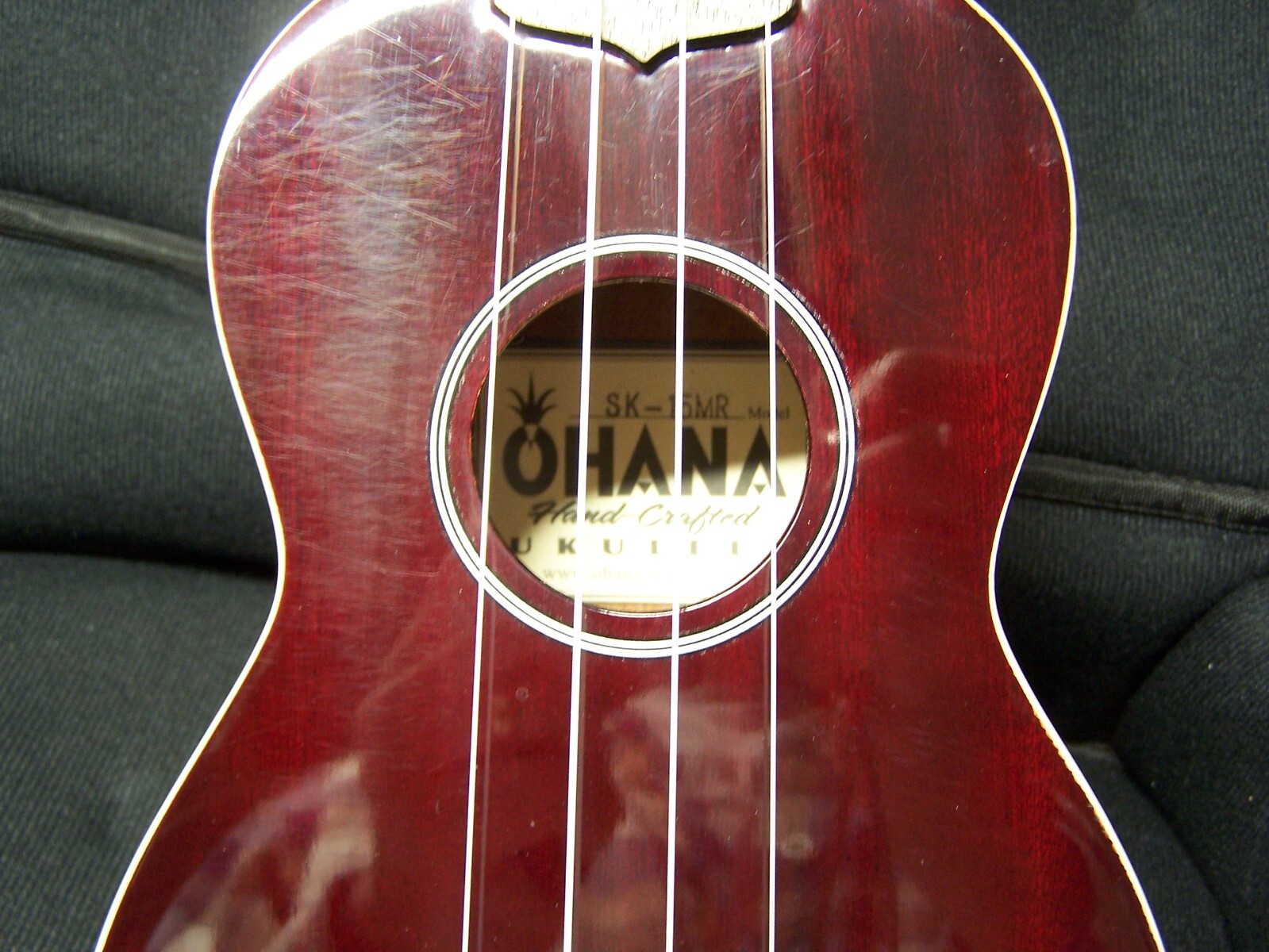 Picture 5 of 18