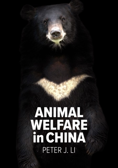 Animal Welfare In China - Image 4